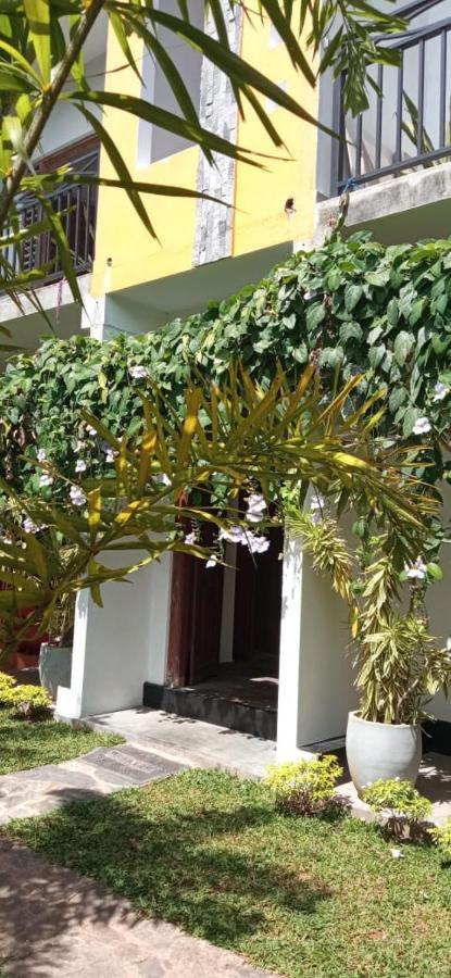 Mandara Rest Bed & Breakfast Hikkaduwa Dış mekan fotoğraf