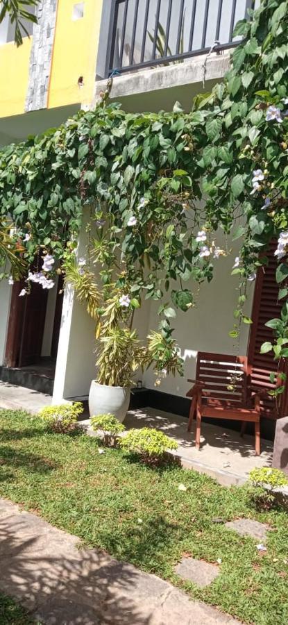 Mandara Rest Bed & Breakfast Hikkaduwa Dış mekan fotoğraf