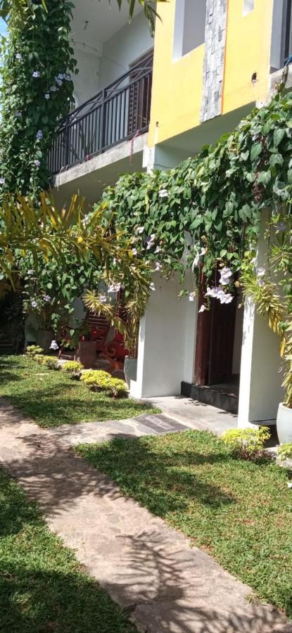 Mandara Rest Bed & Breakfast Hikkaduwa Dış mekan fotoğraf