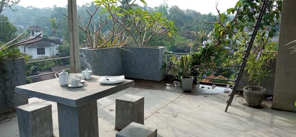 Mandara Rest Bed & Breakfast Hikkaduwa Dış mekan fotoğraf