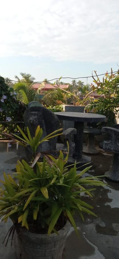 Mandara Rest Bed & Breakfast Hikkaduwa Dış mekan fotoğraf