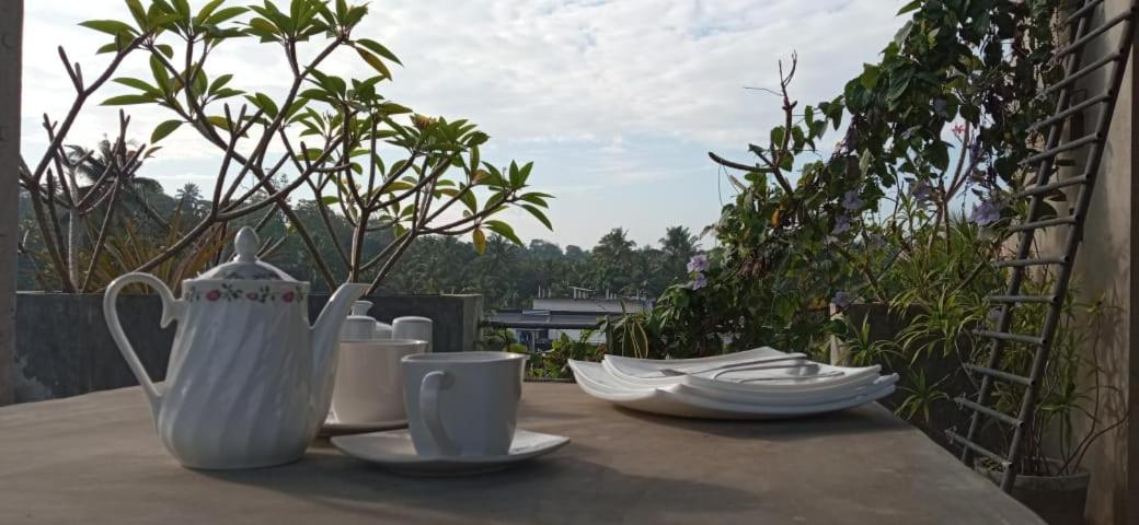 Mandara Rest Bed & Breakfast Hikkaduwa Dış mekan fotoğraf
