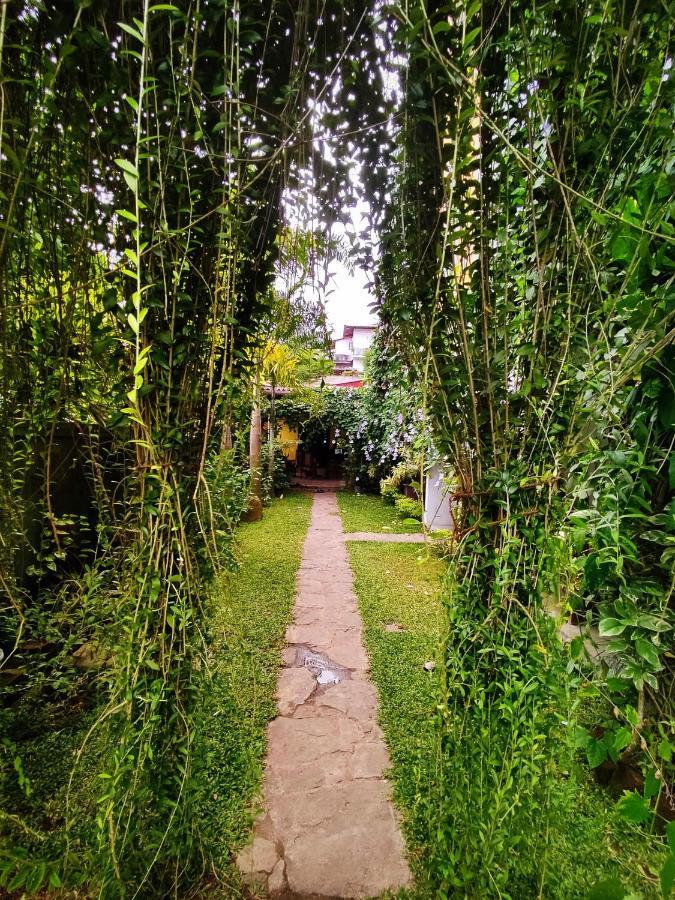 Mandara Rest Bed & Breakfast Hikkaduwa Dış mekan fotoğraf